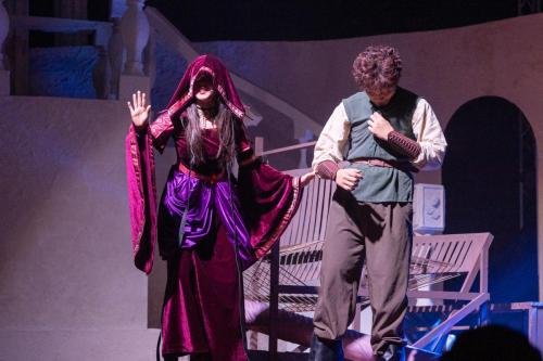 第二十四届马大灯笼节文娱晚会​ CULTURAL NIGHT PTUM 24